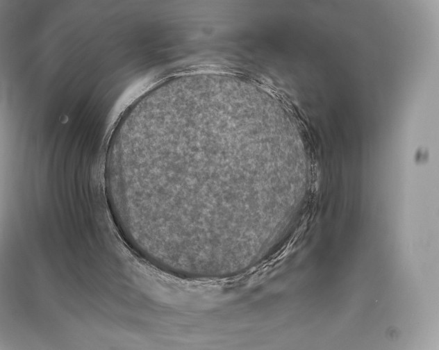 X0000090610004200708141401