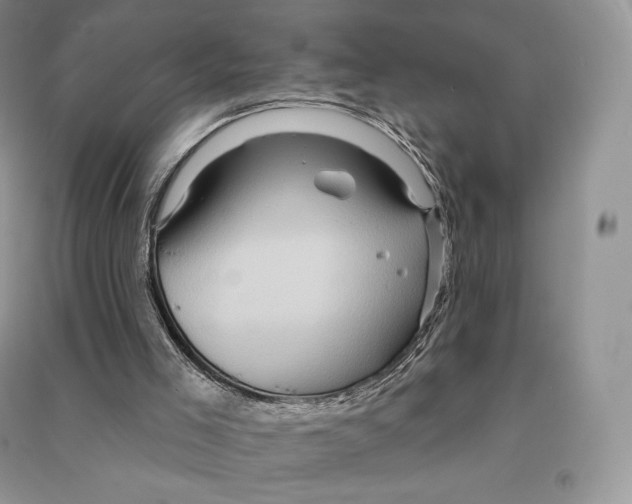 X0000090610005200708141401