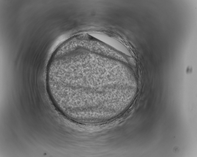 X0000090610006200708141401