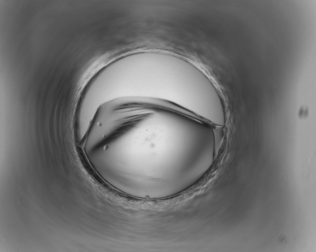 X0000090610007200708141400