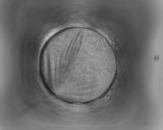 X0000090610008200708141400