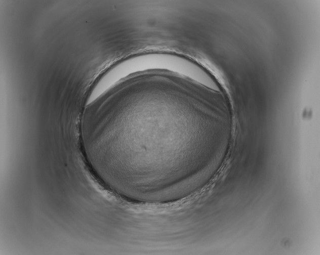 X0000090610009200708141400