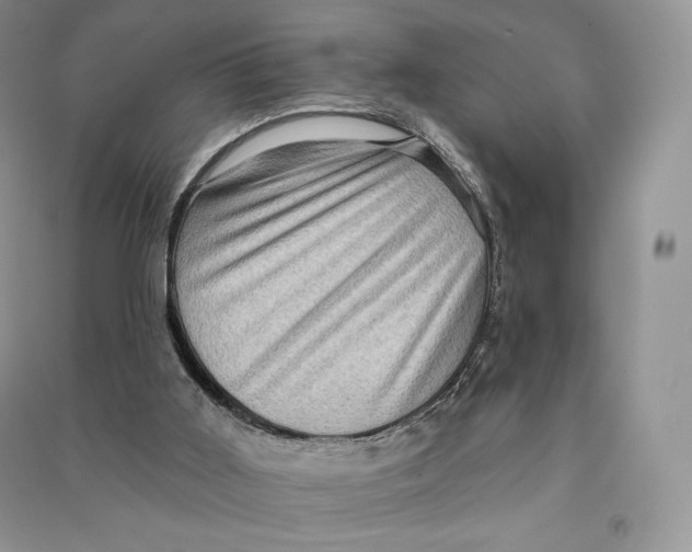 X0000090610011200708141400