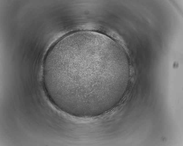 X0000090610012200708141400