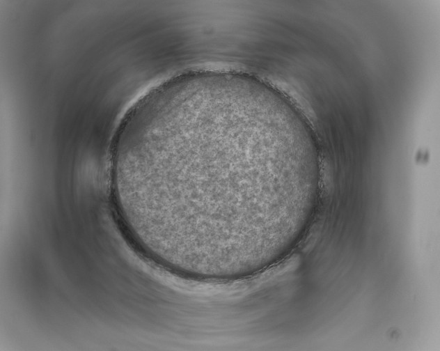 X0000090610016200708141400