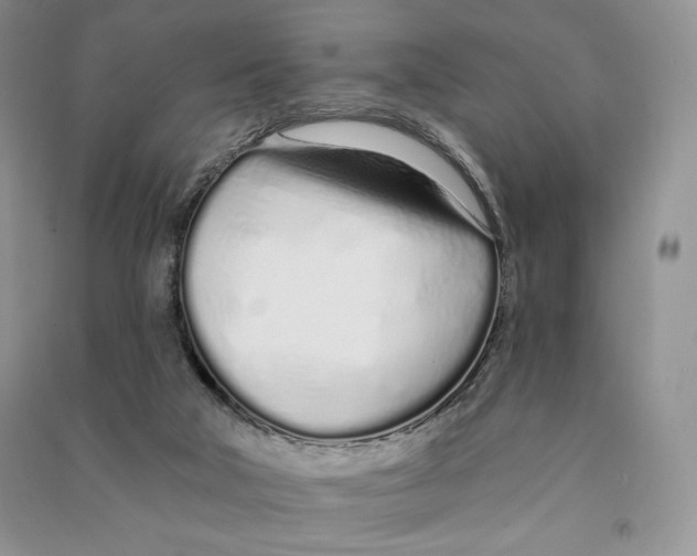 X0000090610018200708141400