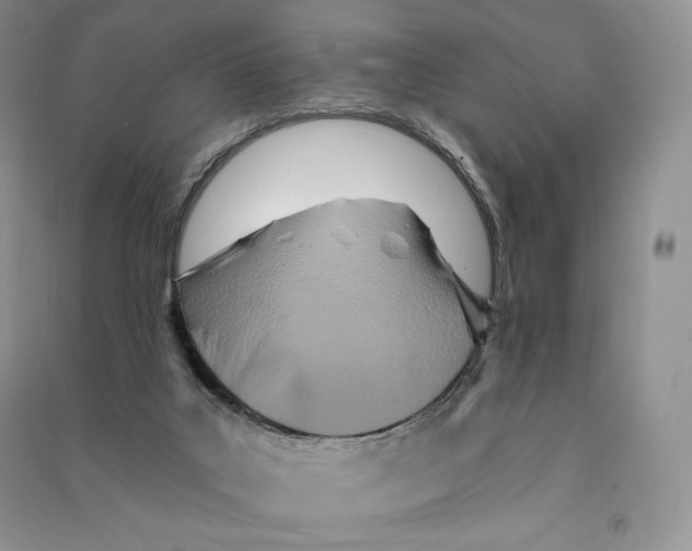 X0000090610019200708141400