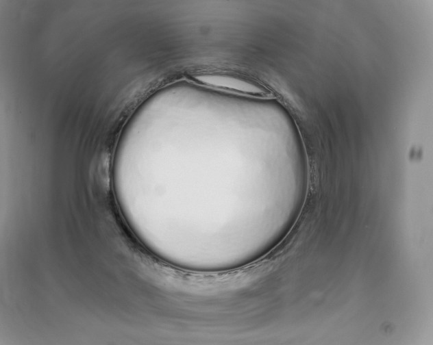 X0000090610022200708141400