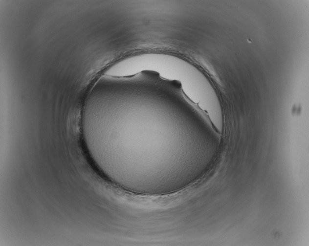 X0000090610023200708141400