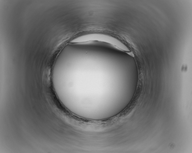 X0000090610024200708141400