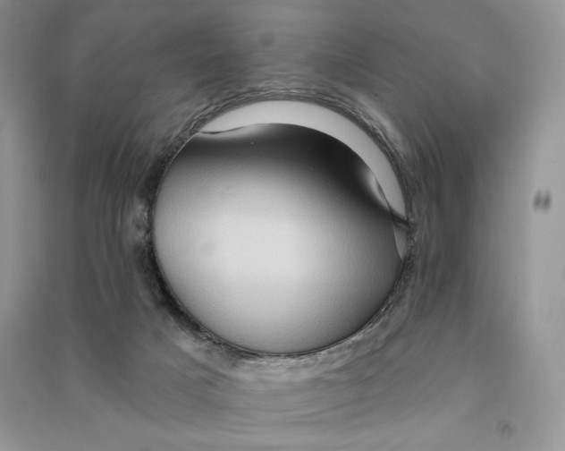 X0000090610025200708141400