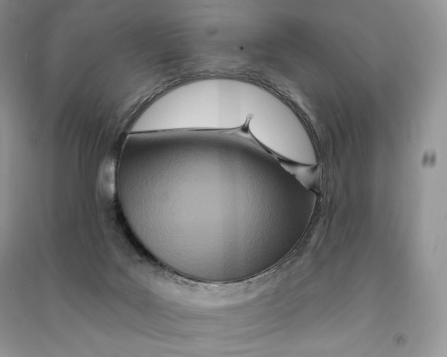 X0000090610027200708141400