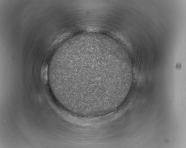 X0000090610028200708141400