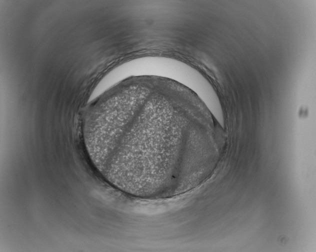 X0000090610029200708141400