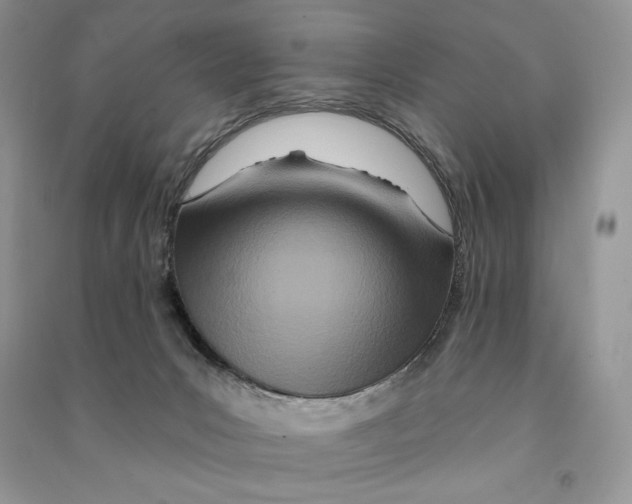 X0000090610031200708141400