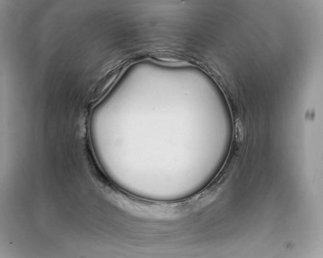 X0000090610032200708141400