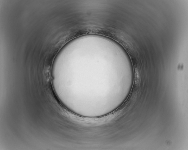 X0000090610034200708141400