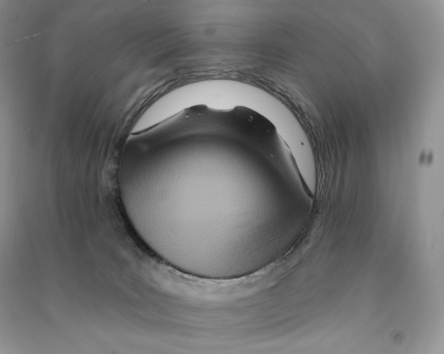 X0000090610035200708141400