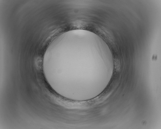 X0000090610036200708141400