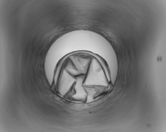 X0000090610037200708141400