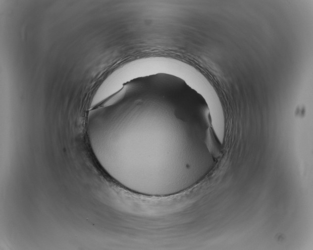 X0000090610039200708141400