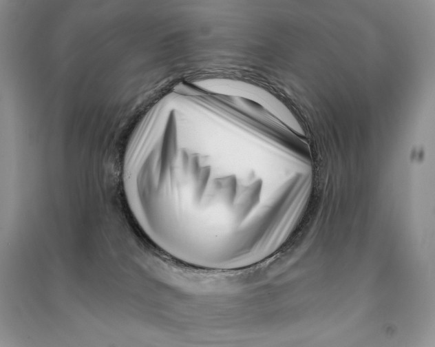 X0000090610040200708141400