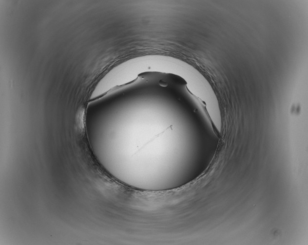 X0000090610041200708141400