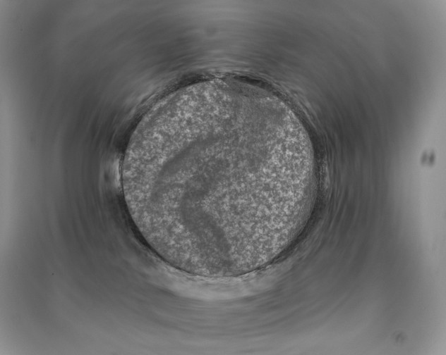 X0000090610042200708141400