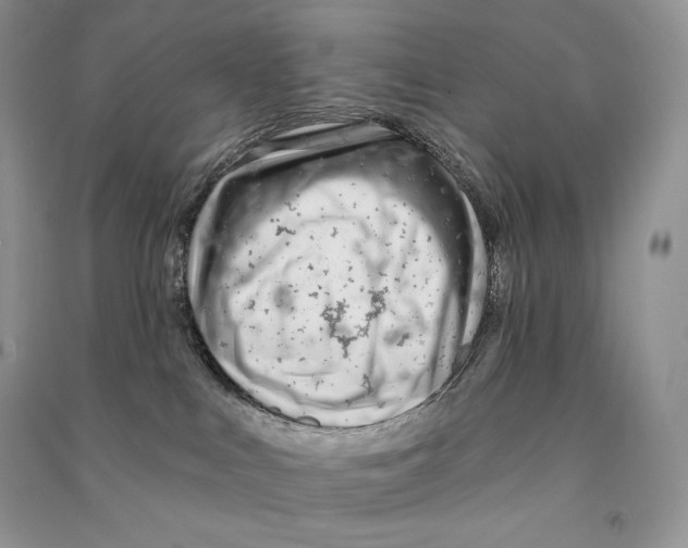 X0000090610043200708141400