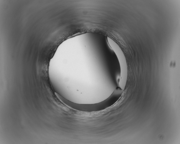 X0000090610045200708141400