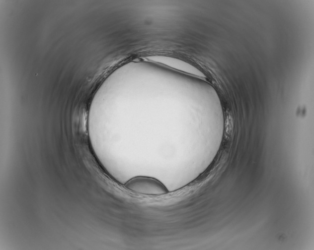 X0000090610046200708141400