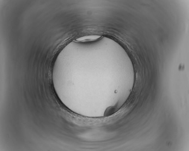 X0000090610048200708141400