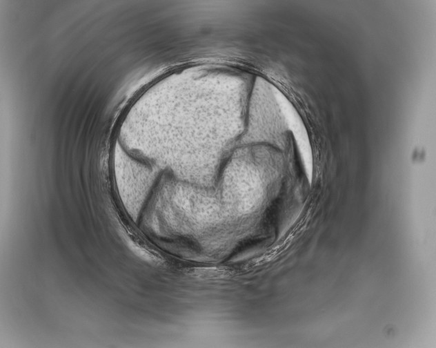 X0000090610050200708141359