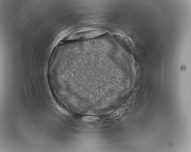 X0000090610051200708141359