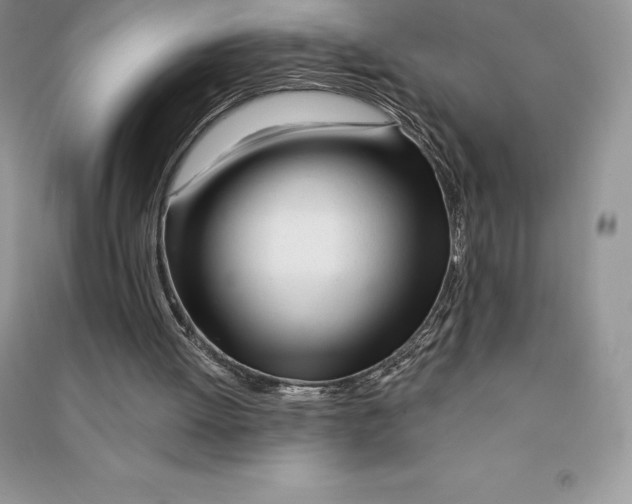 X0000090610052200708141359