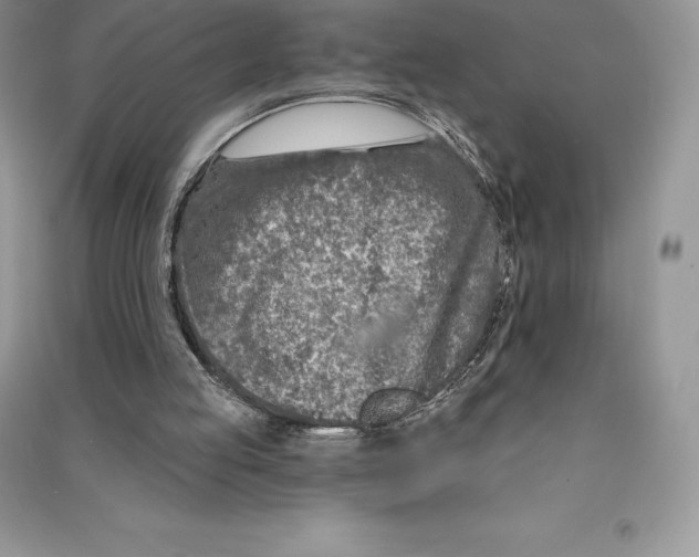 X0000090610053200708141359