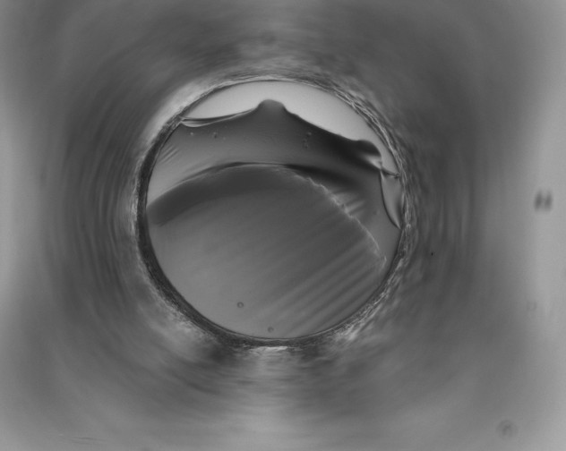 X0000090610054200708141359