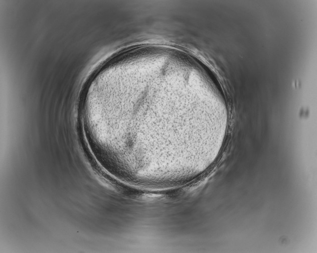 X0000090610055200708141359