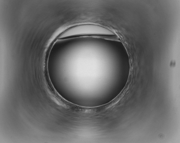 X0000090610056200708141359