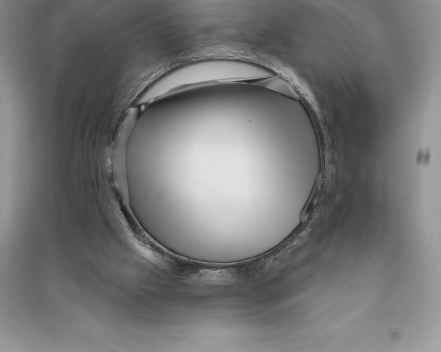 X0000090610057200708141359