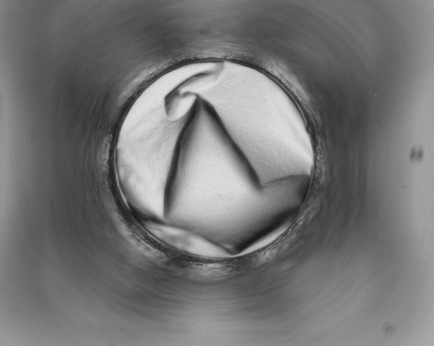 X0000090610058200708141359