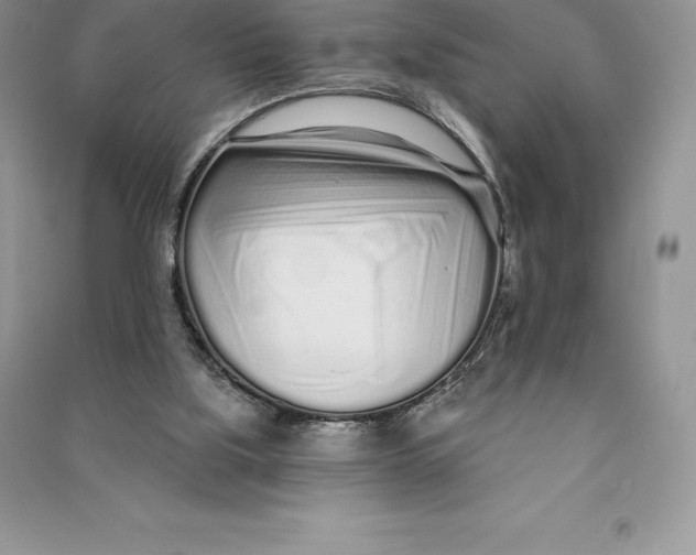 X0000090610059200708141359