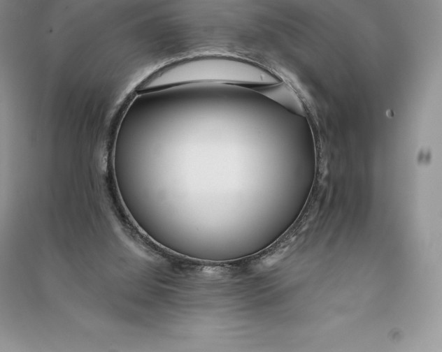 X0000090610060200708141359