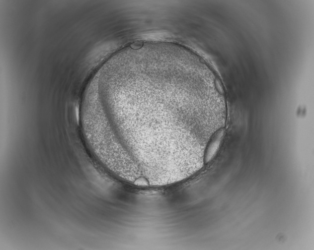 X0000090610061200708141359