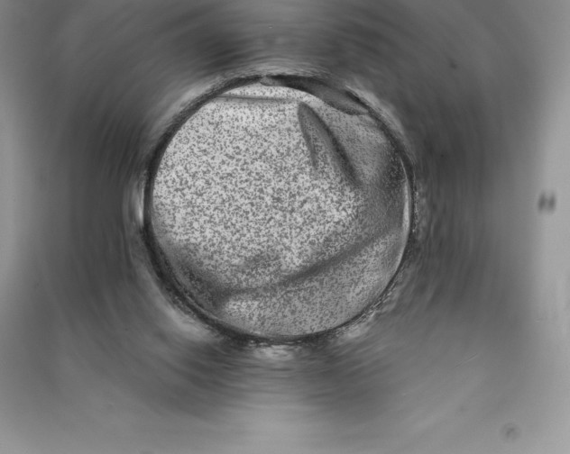 X0000090610062200708141359