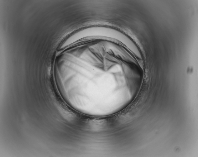 X0000090610063200708141359