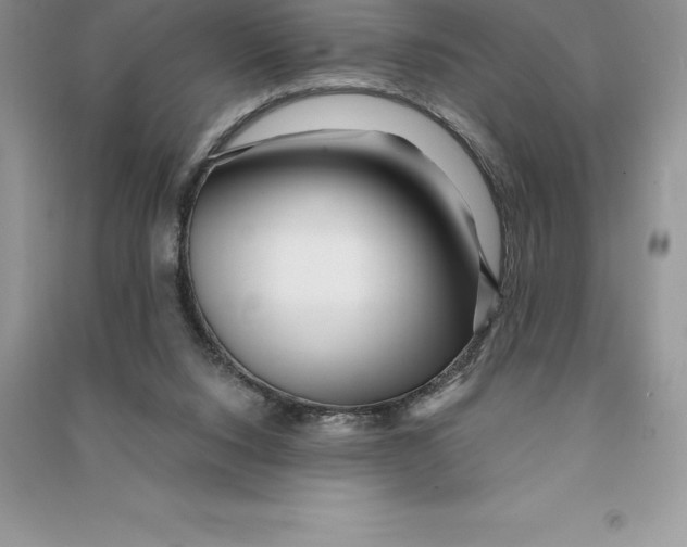 X0000090610064200708141359