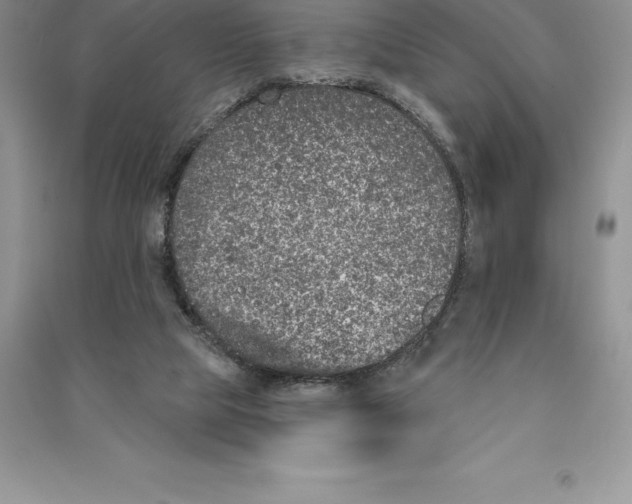 X0000090610065200708141359