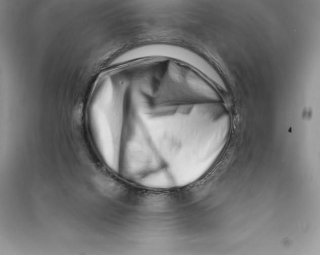 X0000090610066200708141359