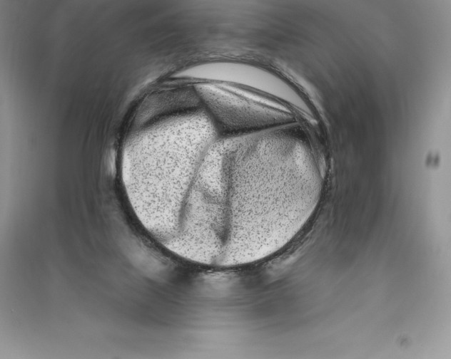 X0000090610067200708141359